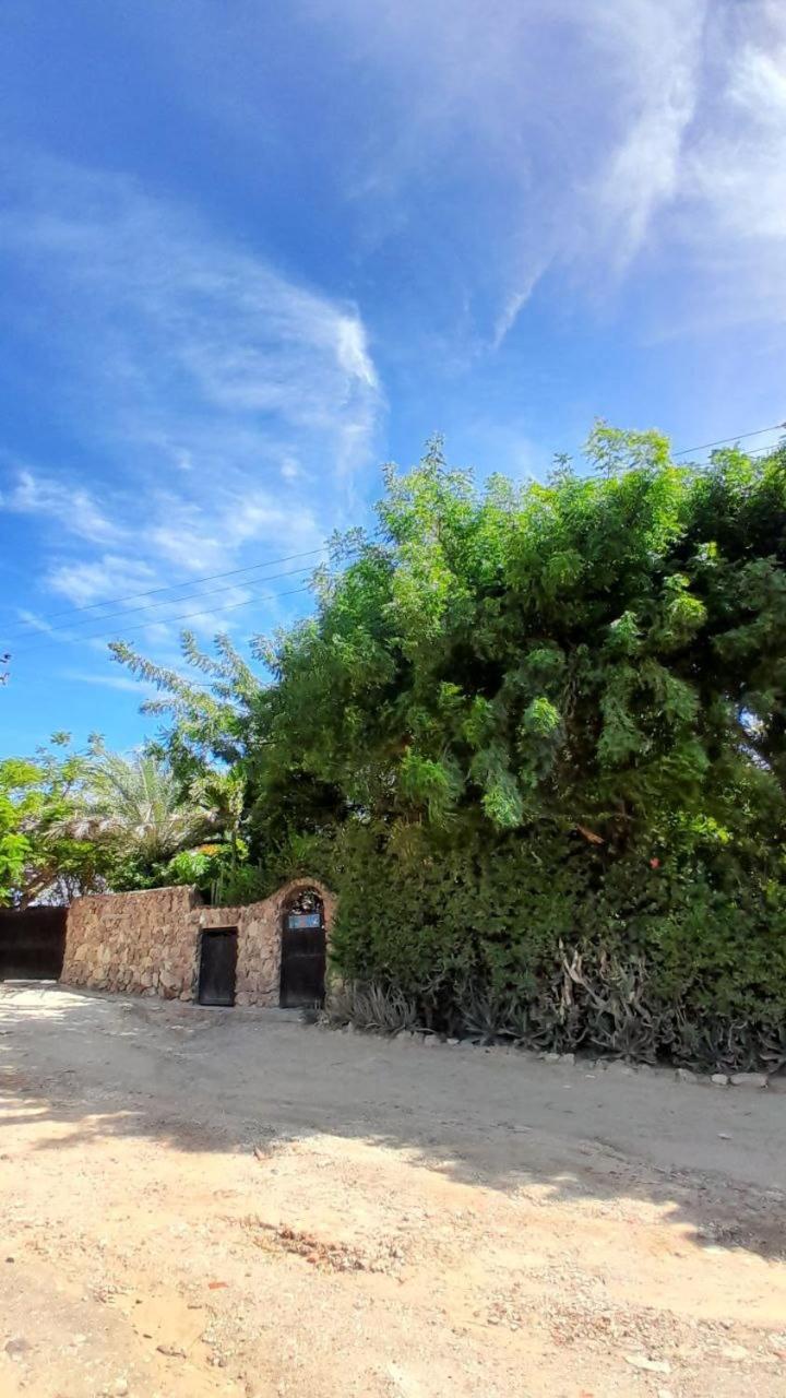 Steviewonderland Playa El Yaque Hotel Luaran gambar